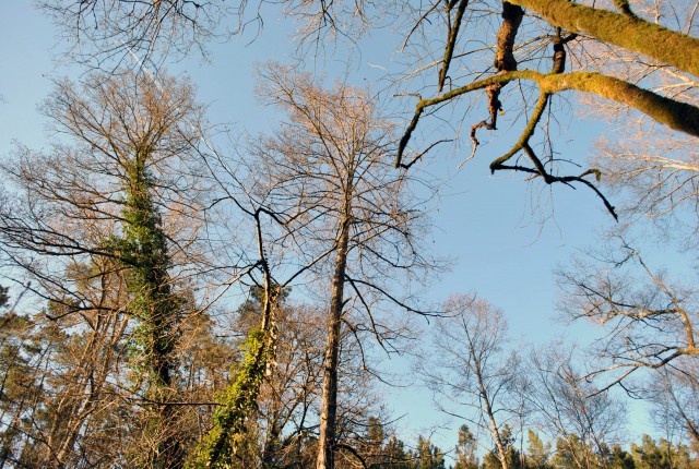 volta do castelo original