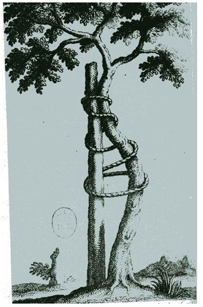 Quelle: Foucault 1992: Überwachen und Strafen, S. 216, Suhrkamp